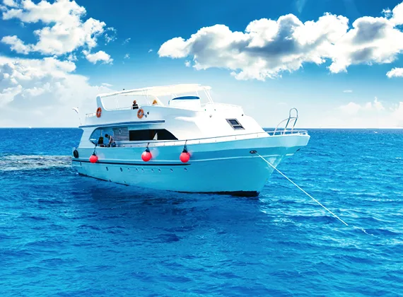 Surfers Paradise, Surfing Vacation - 米乐